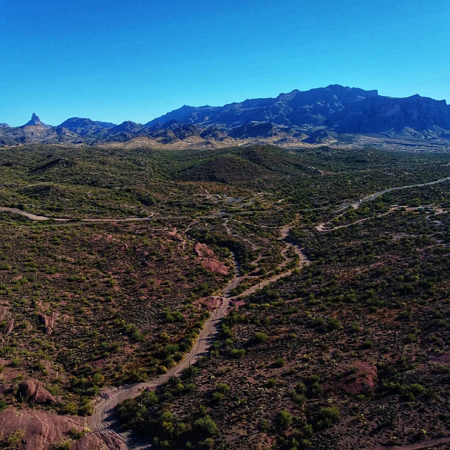 The Sonoran Desert in Winter