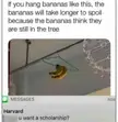 IQ 69000