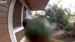 Insurance salesman at my doorbell today