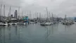 Royal Hong Kong Yacht club docks