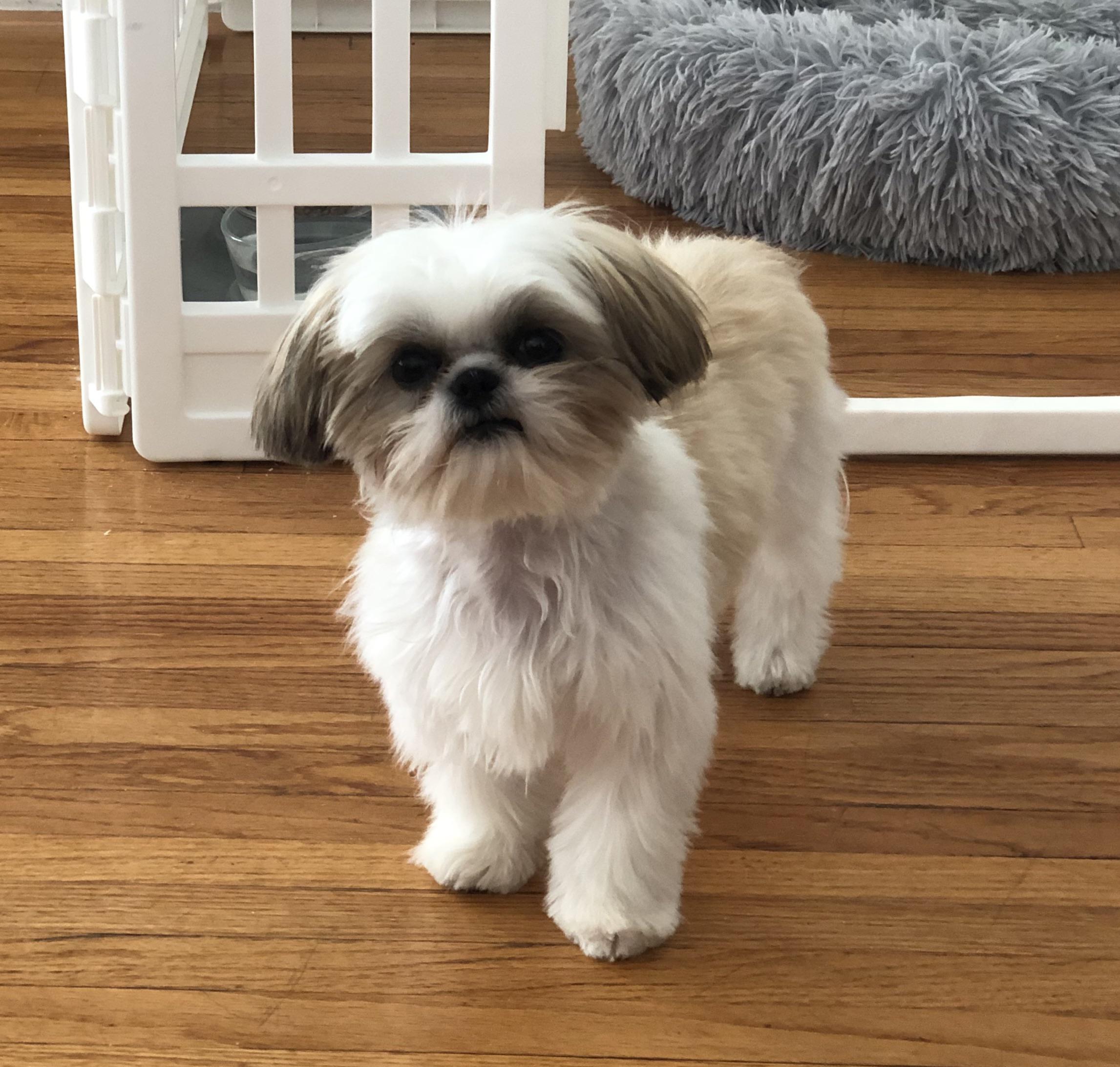 Don’t let him fool you