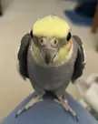 I love my little alien