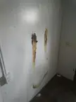 Does it count as graffiti if i paint a wall with my poop?