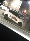 (IMPORTANT) anyone know what kind of fish is on this fish car? i’m not much of a fisherman.