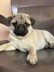 Photogenic!