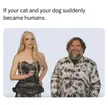 Why does this work so well..