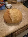 Finally making friends with my sourdough