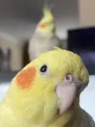 I’m so pretty!