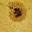 Sunspot as seen by the Vacuum Tower Telescope. 