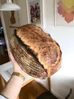 Big fat batard from this morning