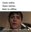 whoa what a busy life