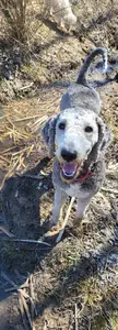 Mud Smiles