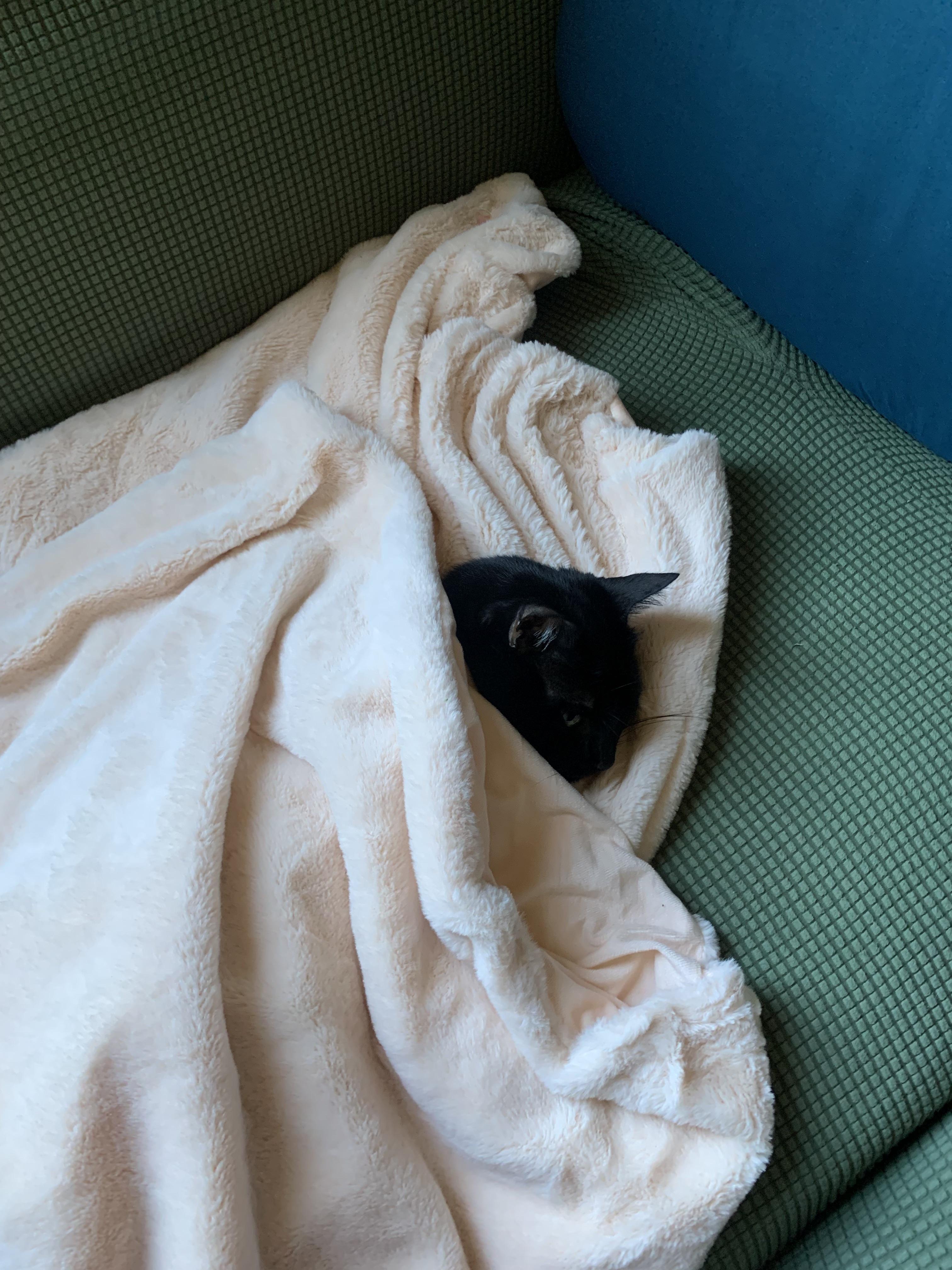 All Bundled Up