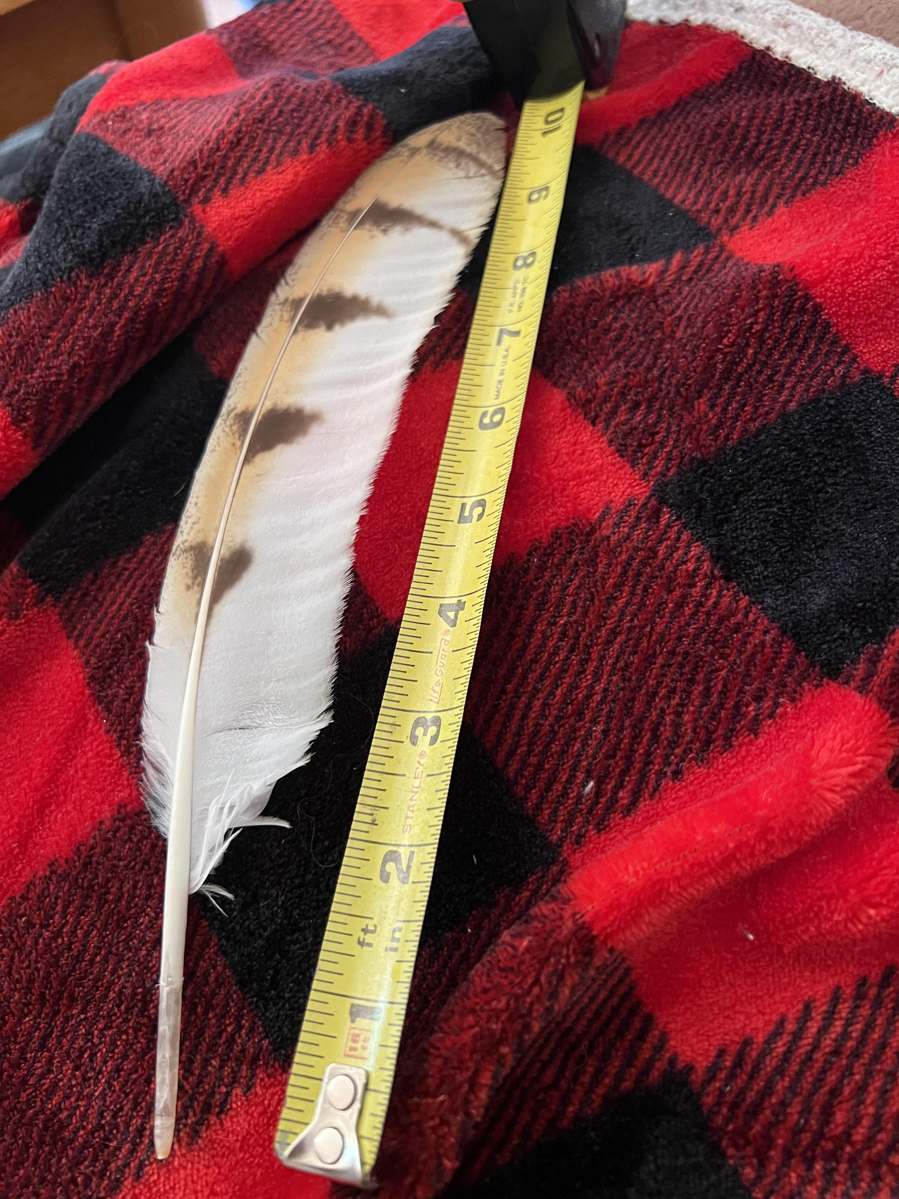 feathers