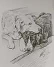 Furever Friends, Mouse House Studio Artwork, Graphite, 2023