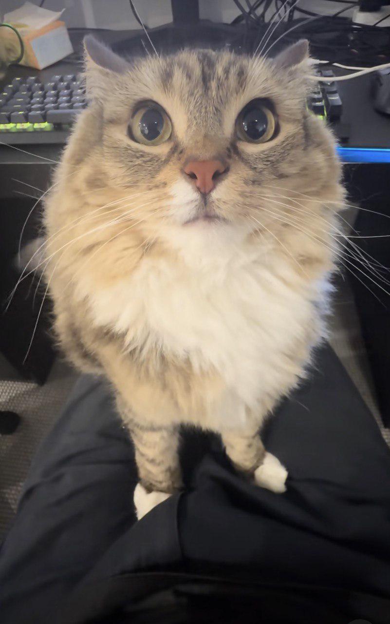 what's that you got there?