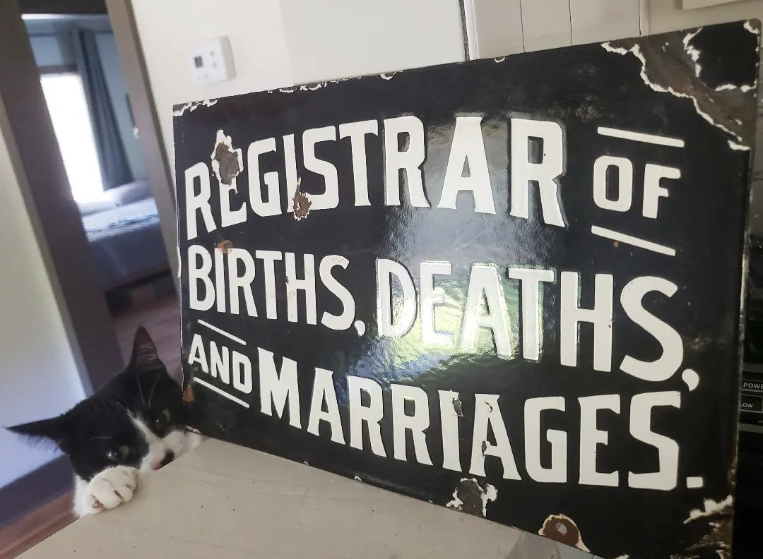 Checkers performing her administrative duties