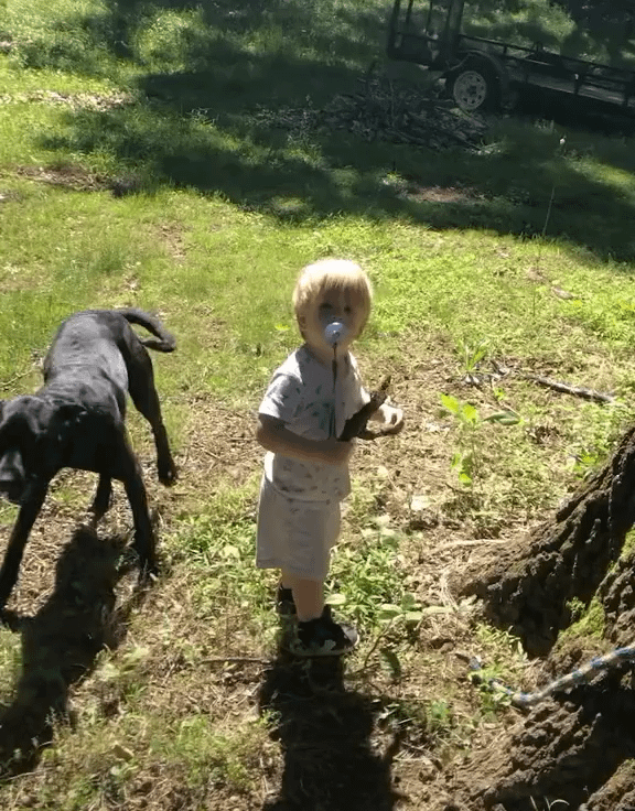 DadReflexes