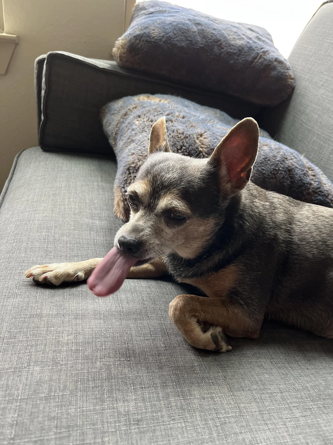 Full Extension Scrolller Full Extension Scrolller