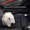 Big ball of Floof