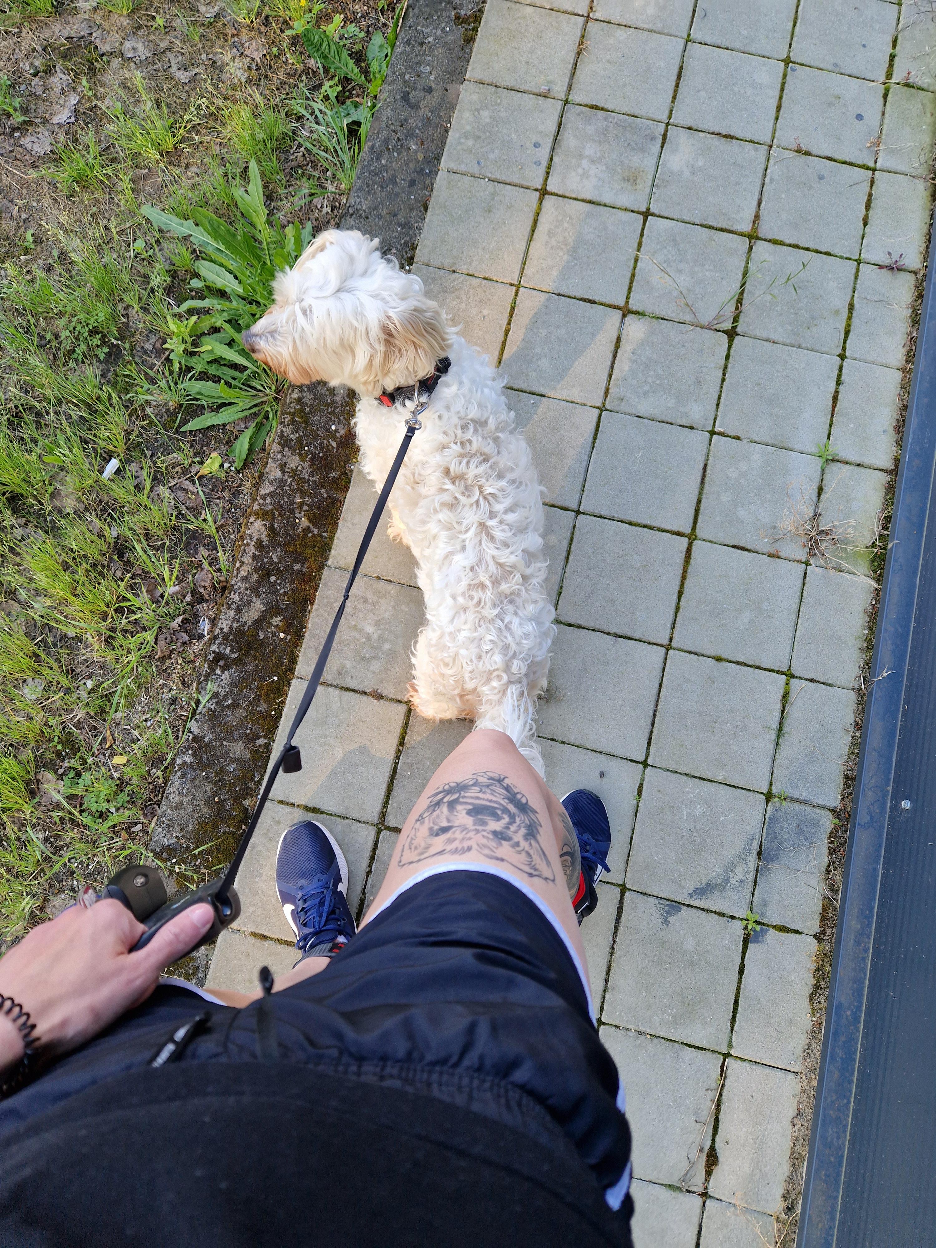 My man with his tattoo 🩷🐕