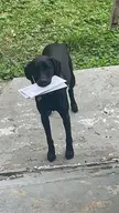 You've got mail!