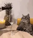 How this subreddit celebrates New Year's Eve