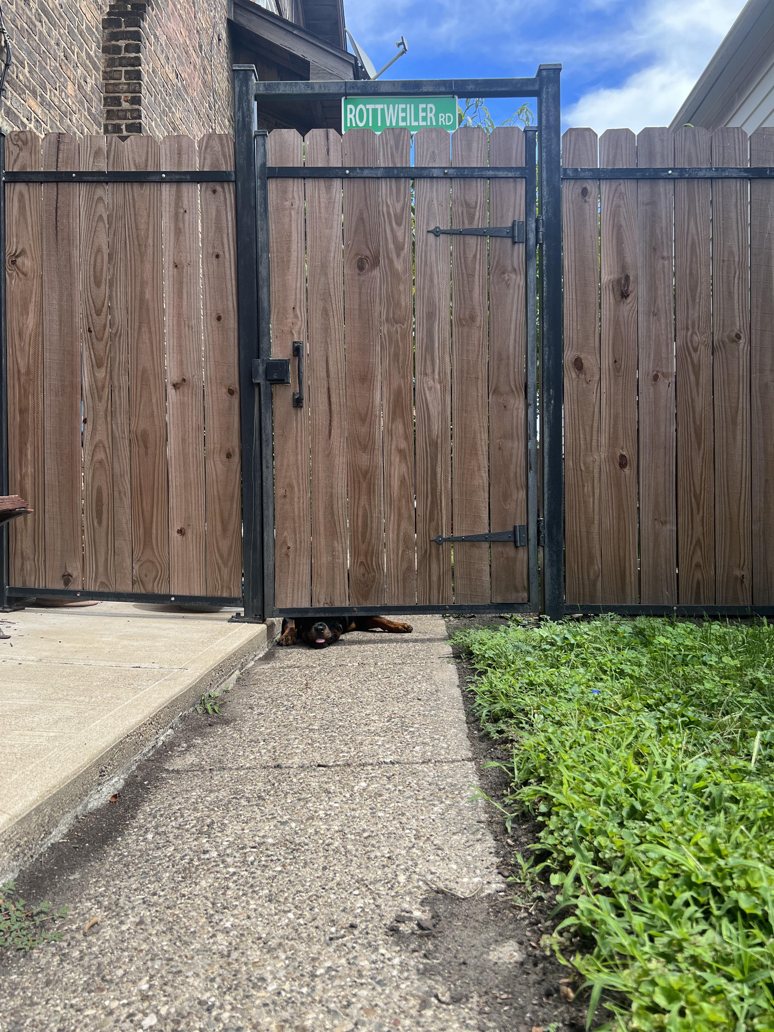 If you look close enough, someone is trying to say hello