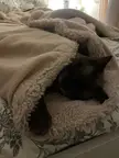 my little bug <3