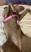 Goofy girl