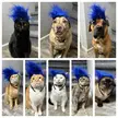 Silly Hats 334: Don’t be a (internet) troll!
