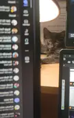 My new worker buddy