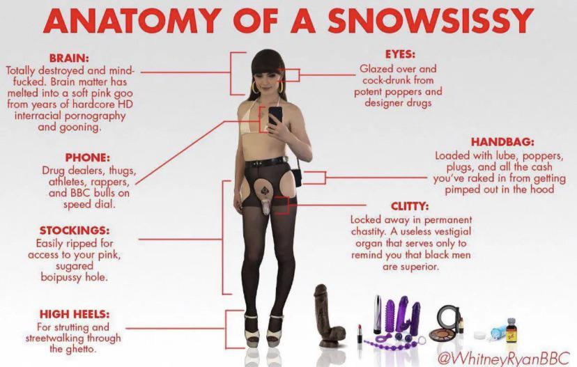 Snowsissy, a slim white trans woman with light blue hair, in a sissy and crossdressing art sequence with an anatomy diagram