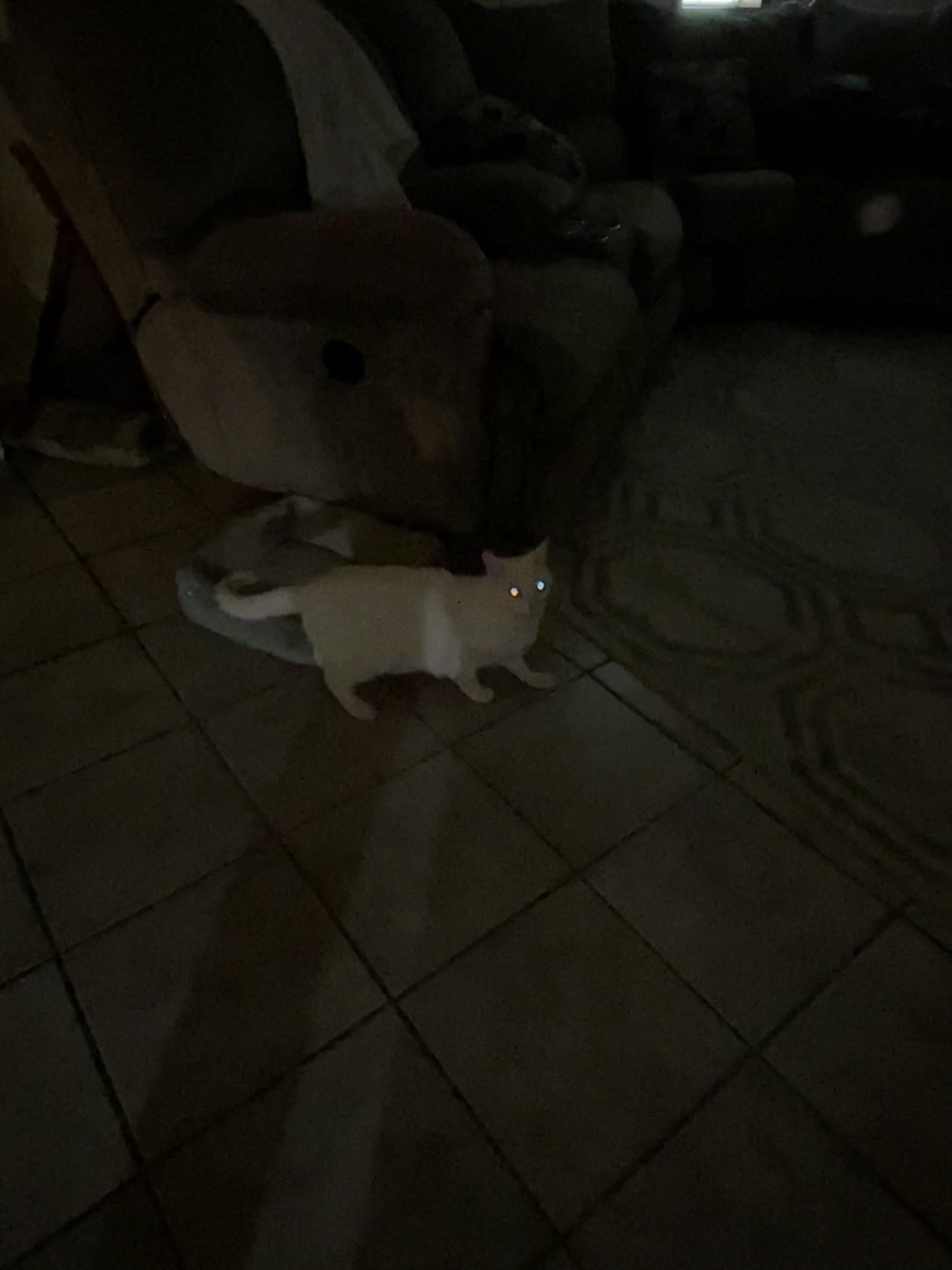 When the flash go off