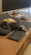 Working from home.