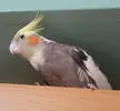 Look at that smile!