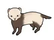 I Drew my friend’s Ferret!!🤍