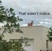 Always find out too late