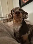 You’d think he doesn’t have any teeth
