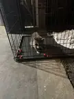 Little guy hurt