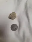 Please help ID