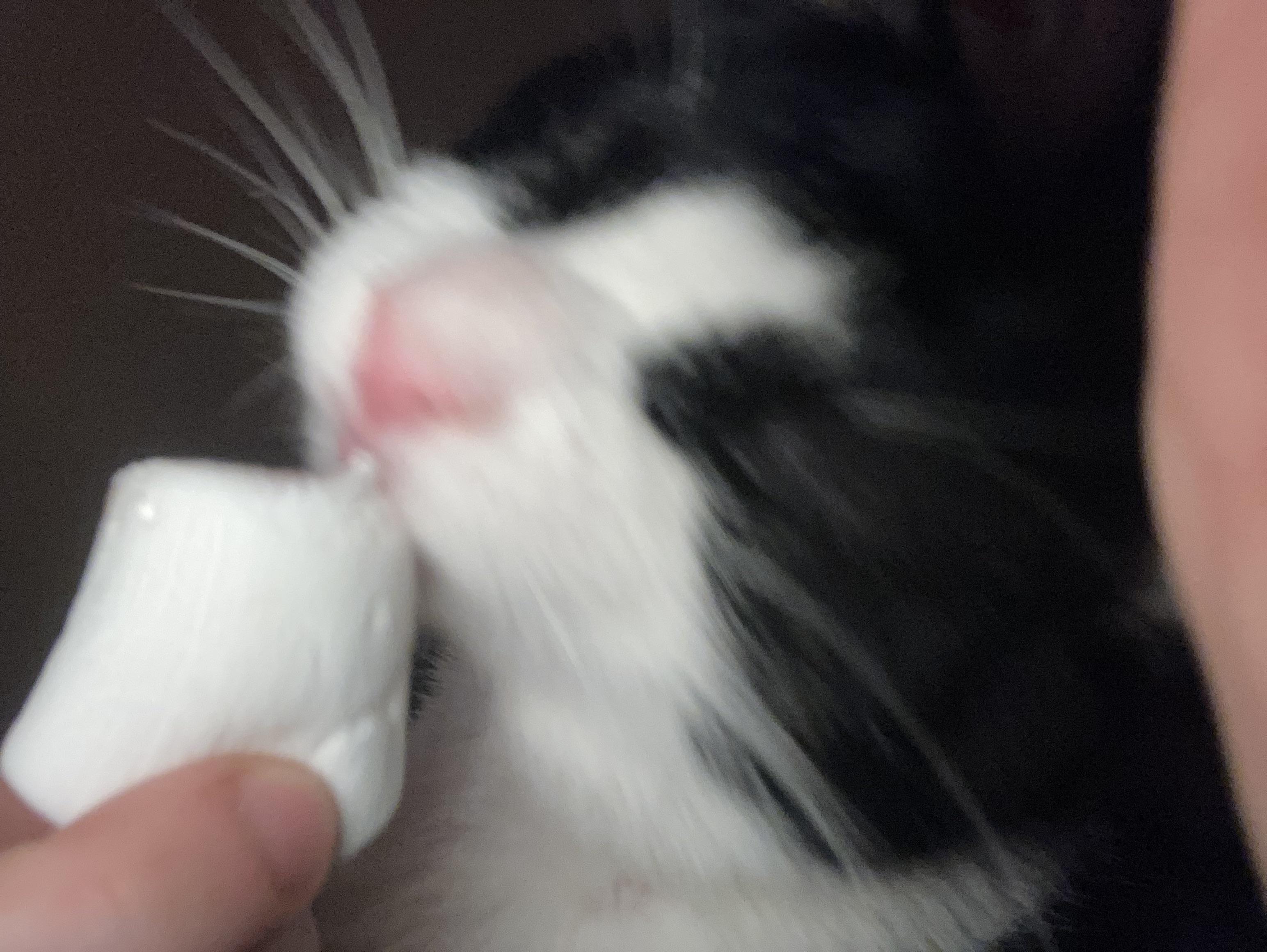 Smore