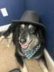 When you get a new hat and you feel nice.