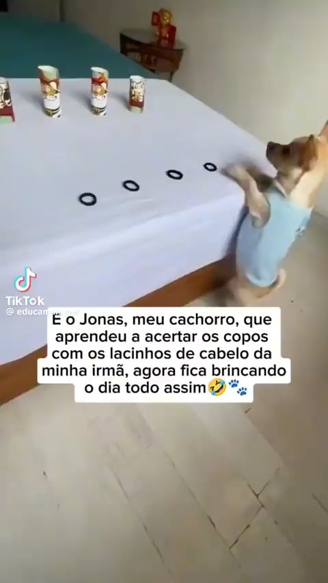Boa jonas