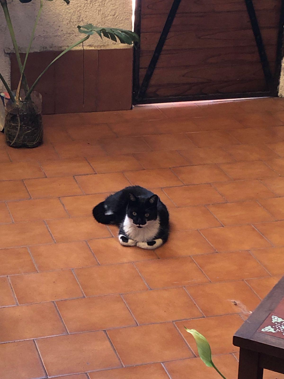 I'm seeing Homer Simpson eyes in that cutie paws...can u see them too? hahah