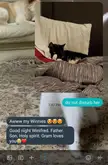 my mom saying goodnight to my cat - which is a nightly ritual