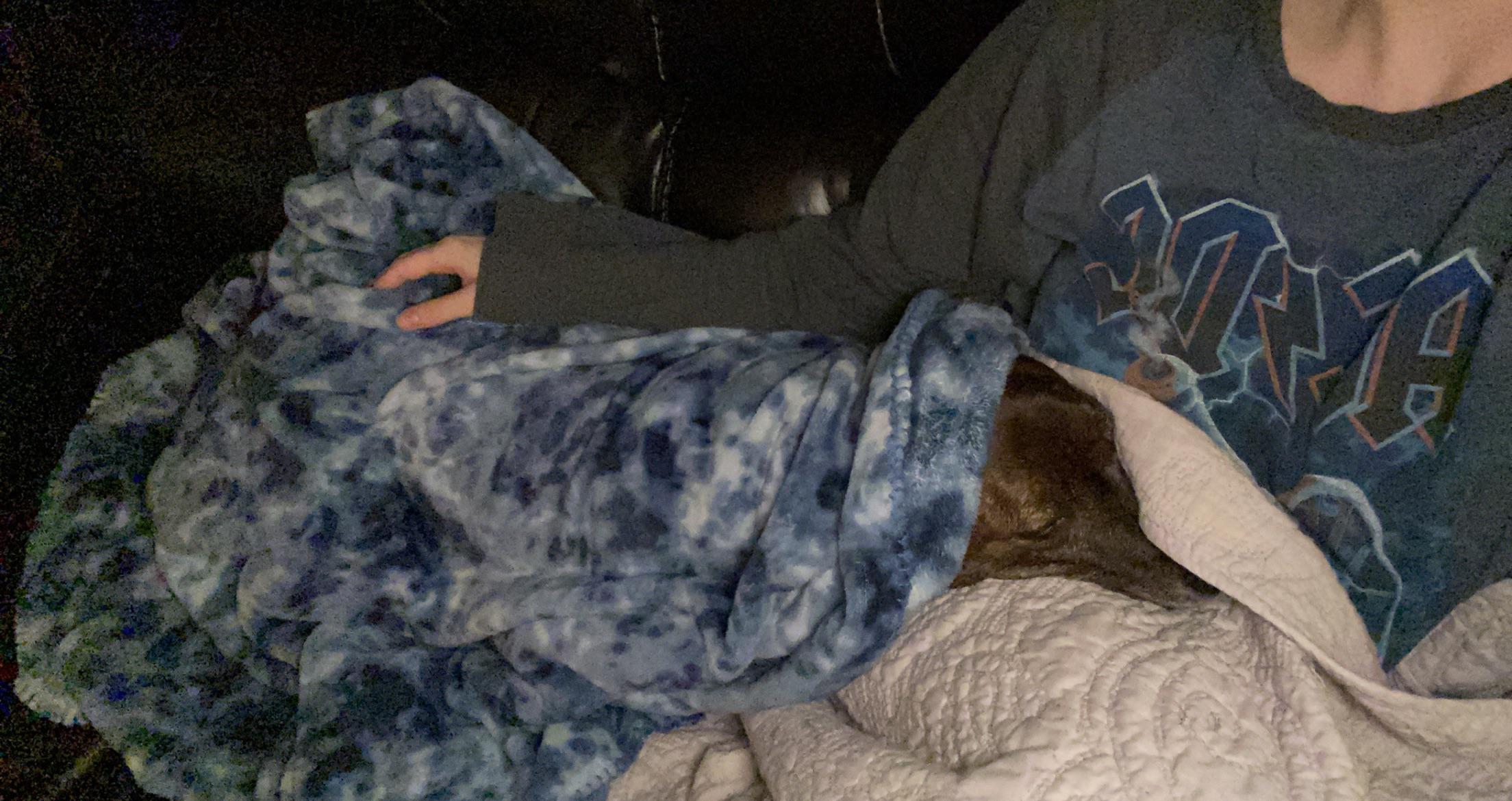 Tucked in old puppy