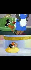 All cats go to heaven too I guess