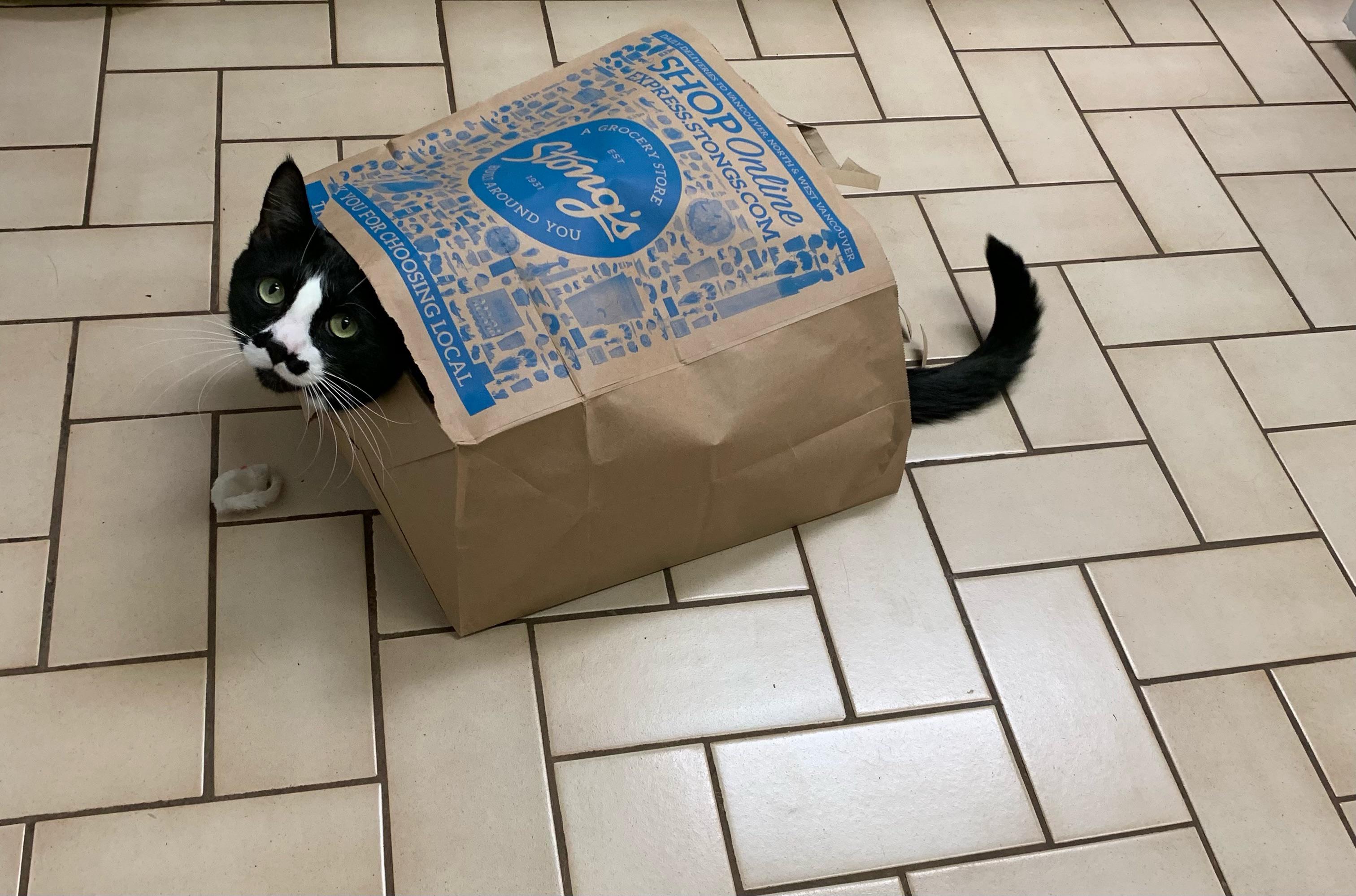 Paper bag prince