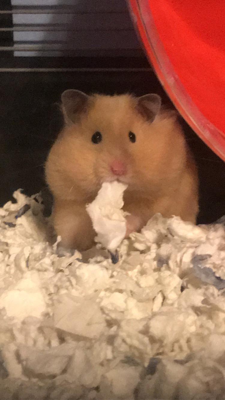she refuses to empty her cheeks until i look away